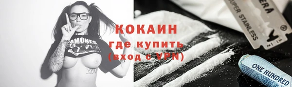 твердый Дмитров