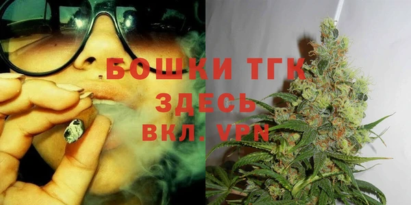 твердый Дмитров