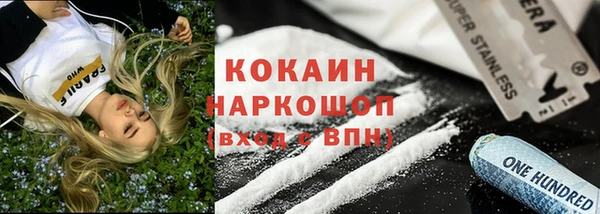 твердый Дмитров