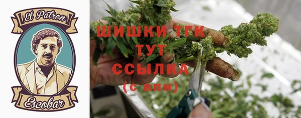 твердый Дмитров
