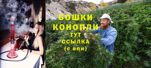 твердый Дмитров